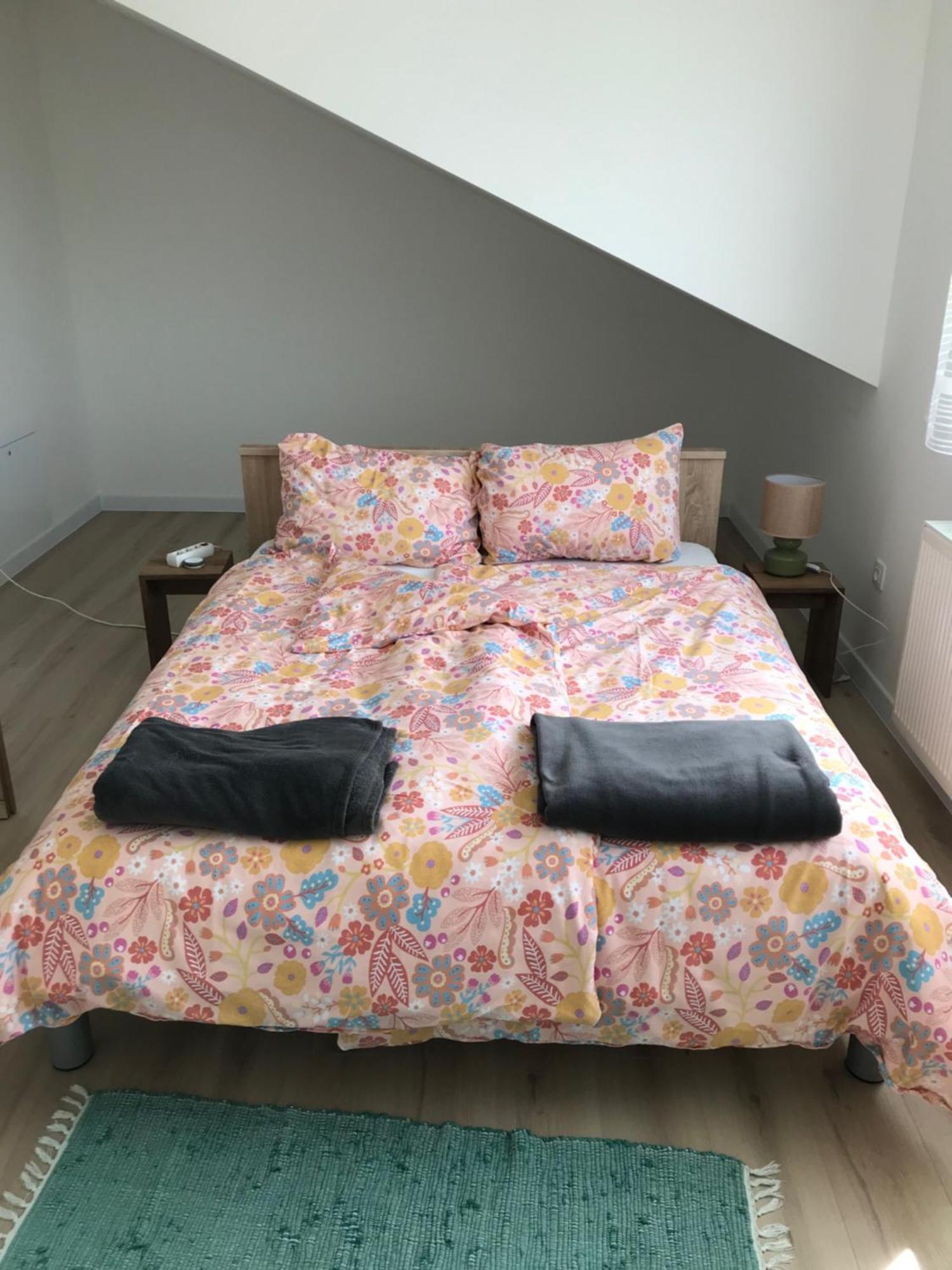 Apartman Slavonia 2 Ðakovo エクステリア 写真